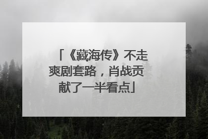 《藏海传》不走爽剧套路，肖战贡献了一半看点
