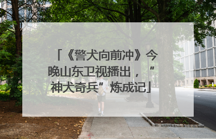 《警犬向前冲》今晚山东卫视播出，“神犬奇兵”炼成记
