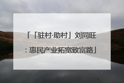 「驻村·助村」刘同旺：惠民产业拓宽致富路