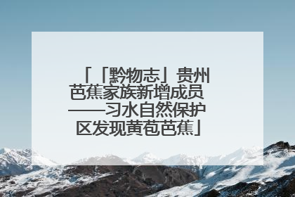 「黔物志」贵州芭蕉家族新增成员——习水自然保护区发现黄苞芭蕉