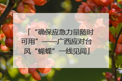 “确保应急力量随时可用”——广西应对台风“蝴蝶”一线见闻