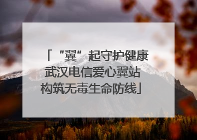 “翼”起守护健康 武汉电信爱心翼站构筑无毒生命防线