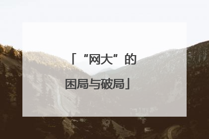 “网大”的困局与破局