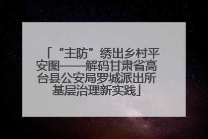 “主防”绣出乡村平安图——解码甘肃省高台县公安局罗城派出所基层治理新实践