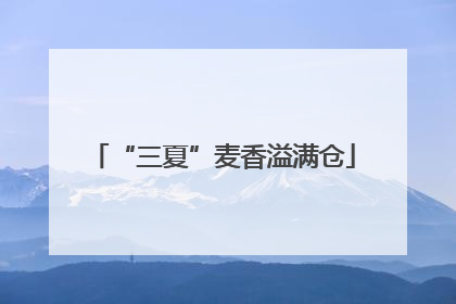 “三夏”麦香溢满仓