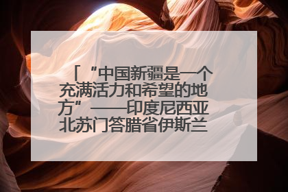 “中国新疆是一个充满活力和希望的地方”——印度尼西亚北苏门答腊省伊斯兰教代表团参访新疆