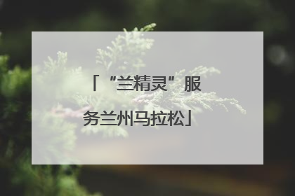 “兰精灵”服务兰州马拉松
