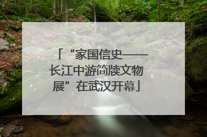 “家国信史——长江中游简牍文物展”在武汉开幕