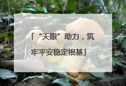 “天眼”助力，筑牢平安稳定根基