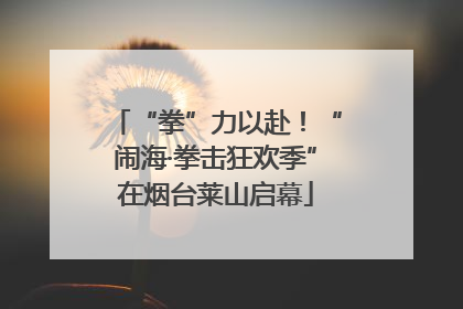 “拳”力以赴！“闹海·拳击狂欢季”在烟台莱山启幕