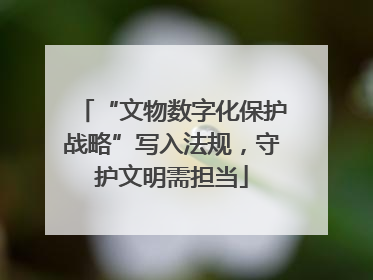 “文物数字化保护战略”写入法规，守护文明需担当