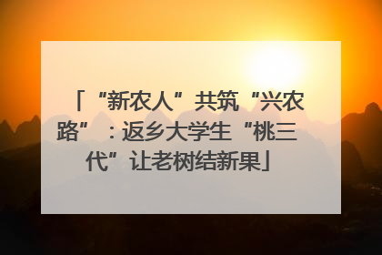 “新农人”共筑“兴农路”：返乡大学生“桃三代”让老树结新果