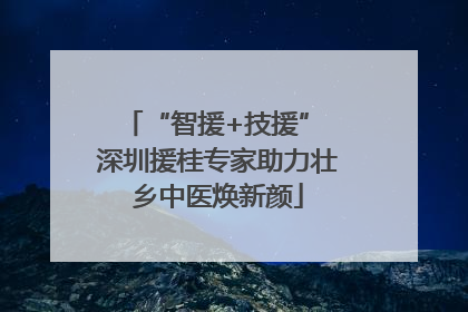“智援+技援” 深圳援桂专家助力壮乡中医焕新颜