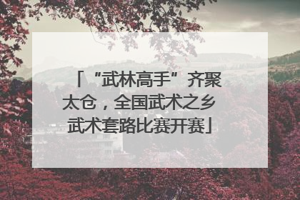 “武林高手”齐聚太仓，全国武术之乡武术套路比赛开赛