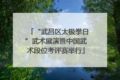 “武昌区太极拳日”武术展演暨中国武术段位考评赛举行