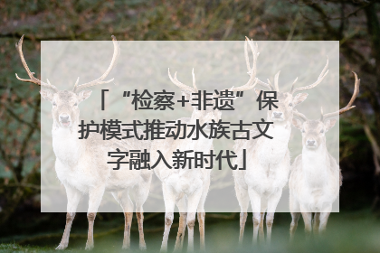 “检察+非遗”保护模式推动水族古文字融入新时代