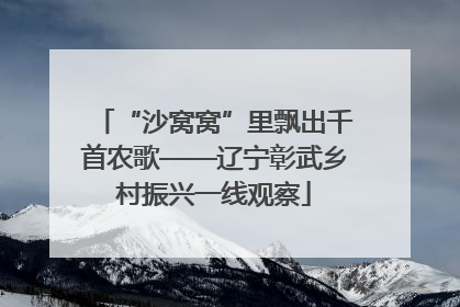 “沙窝窝”里飘出千首农歌——辽宁彰武乡村振兴一线观察