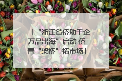 “浙江省侨助千企万品出海”启动 侨青“架桥”拓市场