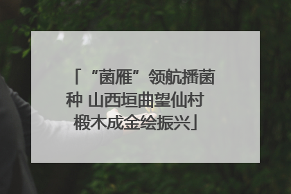 “菌雁”领航播菌种 山西垣曲望仙村椴木成金绘振兴