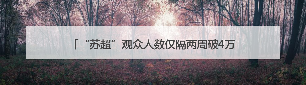 “苏超”观众人数仅隔两周破4万大关，17岁高中生球员独中二元