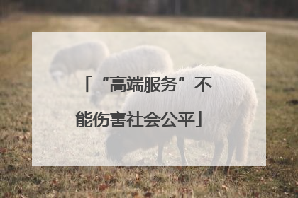 “高端服务”不能伤害社会公平