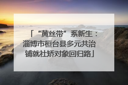“黄丝带”系新生：淄博市桓台县多元共治铺就社矫对象回归路