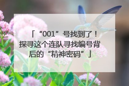 “001”号找到了！探寻这个连队寻找编号背后的“精神密码”