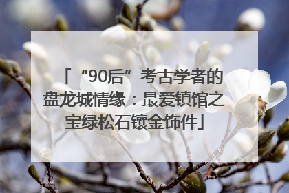 “90后”考古学者的盘龙城情缘：最爱镇馆之宝绿松石镶金饰件