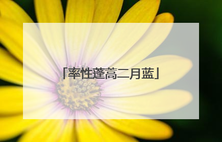 率性蓬蒿二月蓝