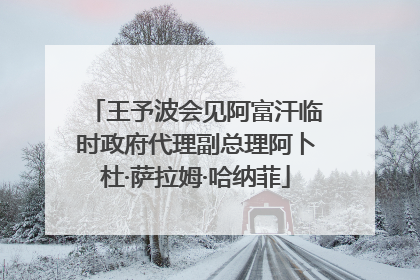 王予波会见阿富汗临时政府代理副总理阿卜杜·萨拉姆·哈纳菲