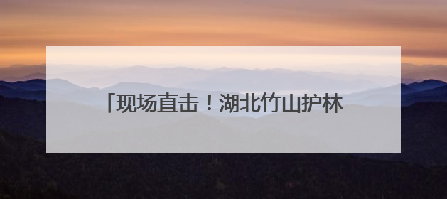 现场直击！湖北竹山护林员实拍国家二级保护动物