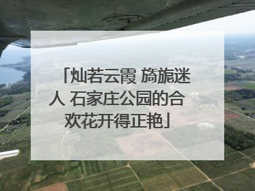 灿若云霞 旖旎迷人 石家庄公园的合欢花开得正艳