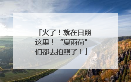 火了！就在日照这里！“夏雨荷”们都去拍照了！