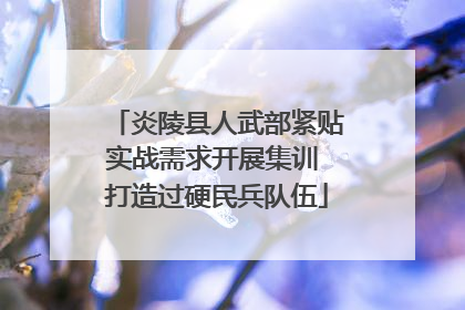 炎陵县人武部紧贴实战需求开展集训 打造过硬民兵队伍