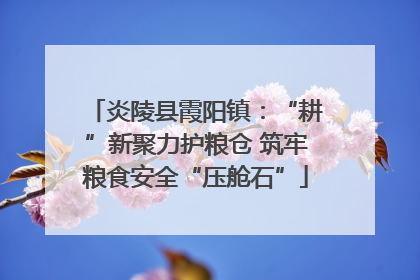炎陵县霞阳镇：“耕”新聚力护粮仓 筑牢粮食安全“压舱石”