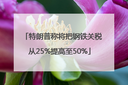 特朗普称将把钢铁关税从25%提高至50%