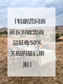 特朗普同意延长对欧盟商品征收50%关税的最后期限