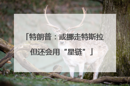 特朗普：或挪走特斯拉 但还会用“星链”