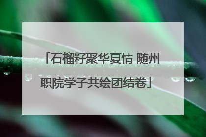 石榴籽聚华夏情 随州职院学子共绘团结卷