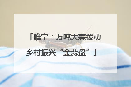 睢宁：万吨大蒜拨动乡村振兴“金蒜盘”