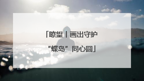 瞭望丨画出守护“蝶岛”同心圆