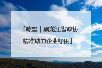 瞭望｜黑龙江省政协精准助力企业纾困