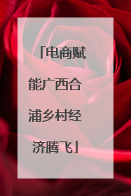 电商赋能广西合浦乡村经济腾飞