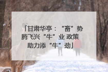 甘肃华亭：“畜”势腾飞兴“牛”业 政策助力添“牛”劲