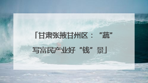 甘肃张掖甘州区：“蔬”写富民产业好“钱”景