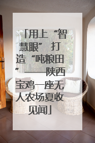 用上“智慧眼” 打造“吨粮田”——陕西宝鸡一座无人农场夏收见闻