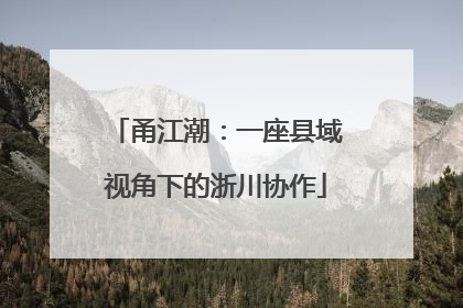 甬江潮：一座县域视角下的浙川协作