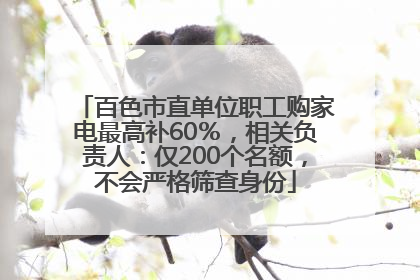 百色市直单位职工购家电最高补60％，相关负责人：仅200个名额，不会严格筛查身份