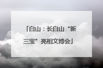 白山：长白山“新三宝”亮相文博会