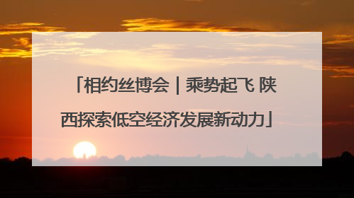 相约丝博会｜乘势起飞 陕西探索低空经济发展新动力